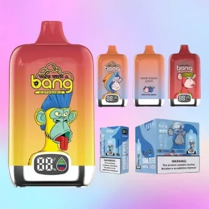 Bang 15000 Puffs