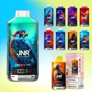 JNR Falcon-X 18000 Puffs