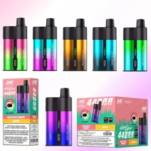 JNR WindWhip 44000 Puffs