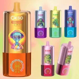 Okso 3in1 70000 Puffs