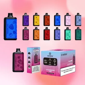 Tastefog Echo Digital Box 12000 Puffs