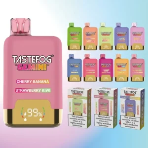 Tastefog Gemini 25000 Puffs