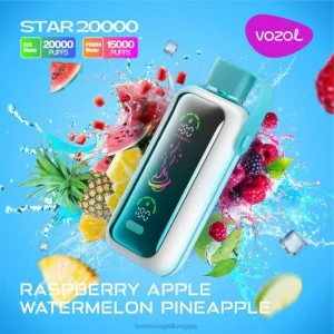 Vape Box – vadelma omena vesimeloni ananas VOZOL STAR 20 000 Z006D18