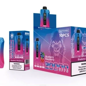Vape Kauppa – Bang Beach 20 000 puhallusta älykkään näytön vape TZ4V12 mustikka vadelma