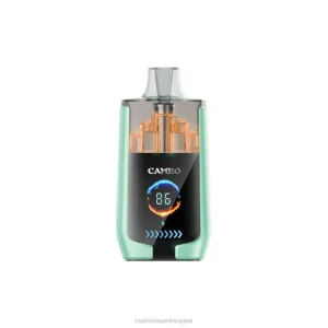 Vape Kauppa – kaksinkertainen omena 8D4V20 LAVIE CAMEO 30 000 suihketta