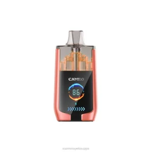 Vape Kauppa – mansikka vesimeloni 8D4V24 LAVIE CAMEO 30 000 suihketta
