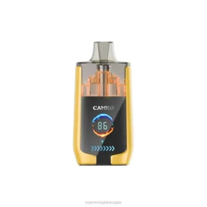 Vape Suomi – mango jäätä 8D4V21 LAVIE CAMEO 30 000 suihketta