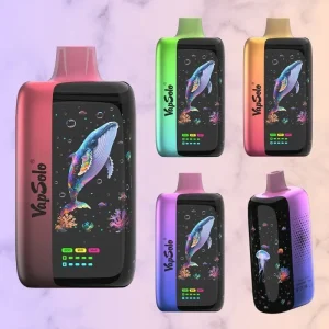 Vapsolo Master 70000 Puffs