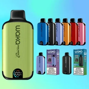 Waka soPro DM8000i