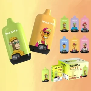 Waspe Digital Box 12000 Puffs